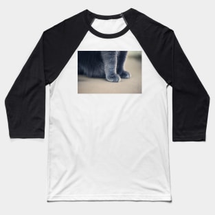 Cat Paws Baseball T-Shirt